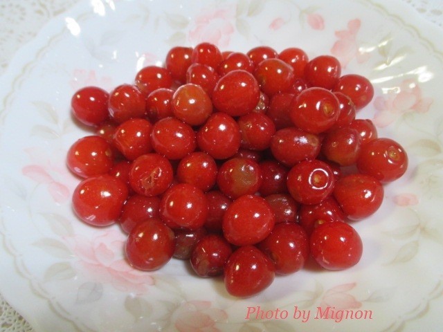 f:id:bell88:20180507172216j:plain f:id:bell88:20180507172216j:plain