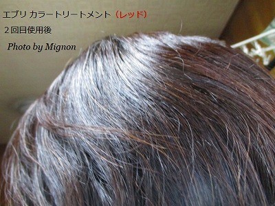 f:id:bell88:20190406083012j:plain