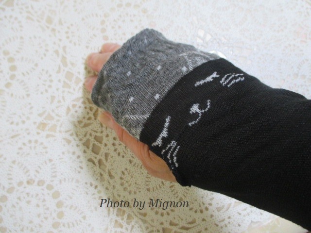 f:id:bell88:20190524073343j:plain