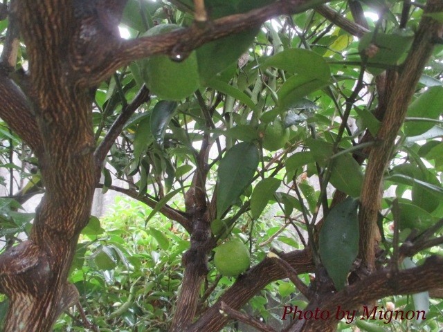 f:id:bell88:20191029134531j:plain