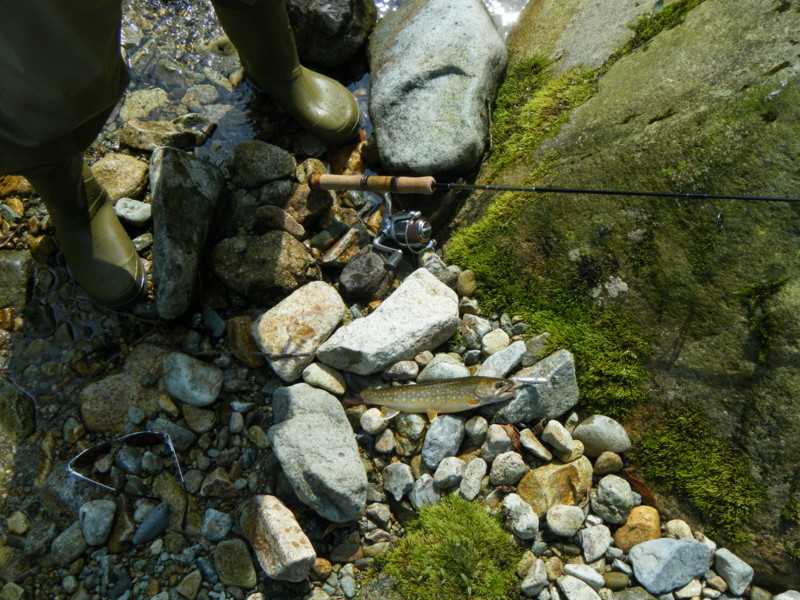 f:id:bellandwell:20100817044854j:image