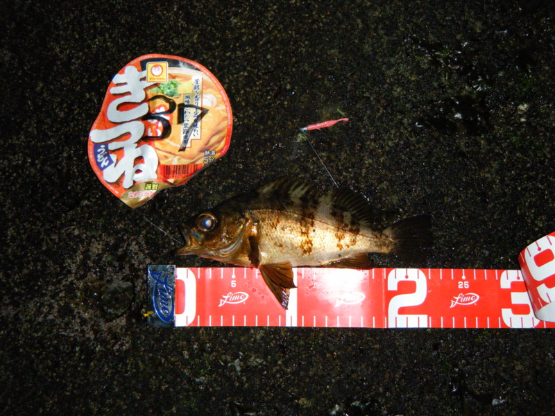 f:id:bellandwell:20110206012937j:image