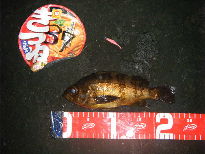 f:id:bellandwell:20110206013417j:image