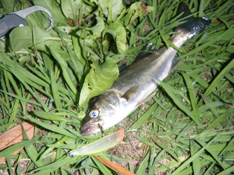 f:id:bellandwell:20130630002003j:image