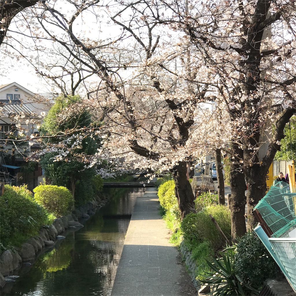 f:id:bellbell730:20190326223805j:image