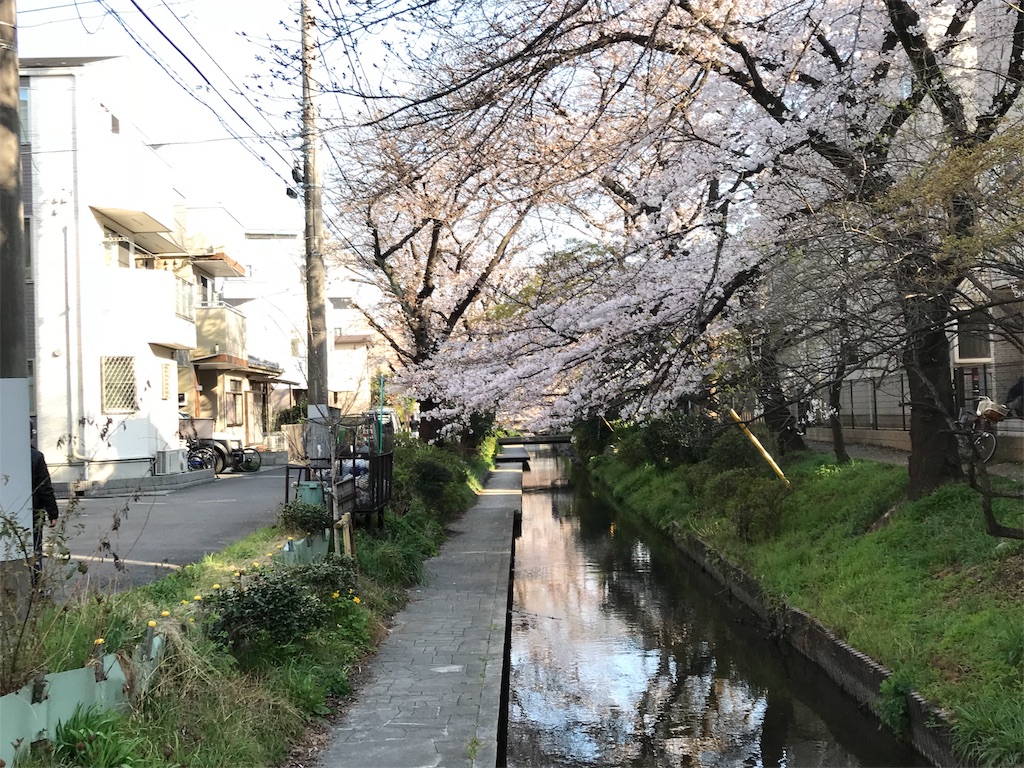 f:id:bellbell730:20190326223813j:image