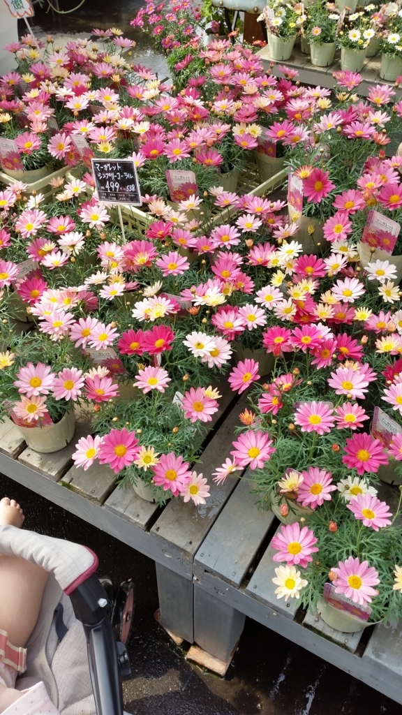 f:id:bellbell_kk:20180410212129j:plain f:id:bellbell_kk:20180410212129j:plain