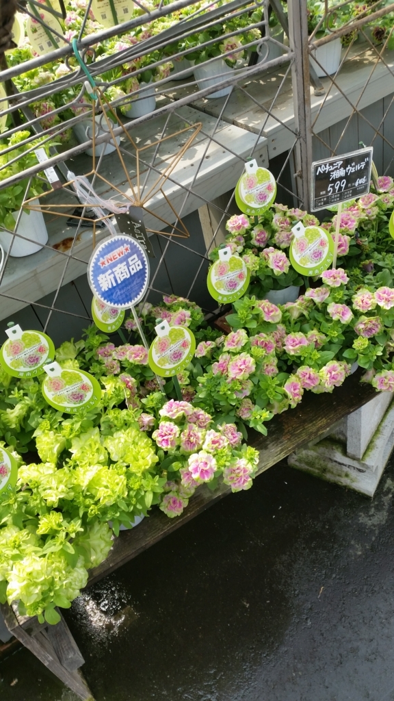 f:id:bellbell_kk:20180428011731j:plain f:id:bellbell_kk:20180428011731j:plain