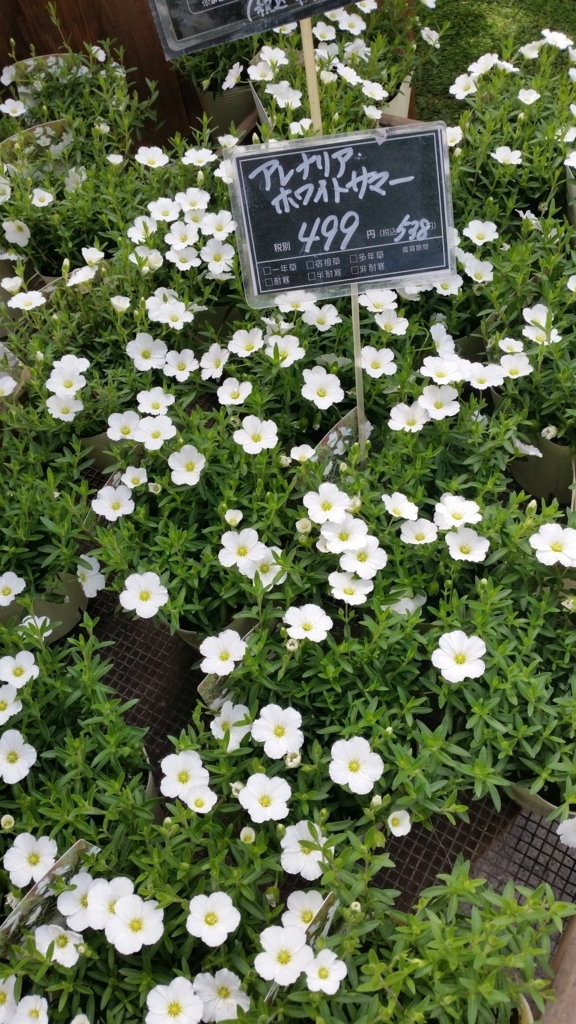 f:id:bellbell_kk:20180428012029j:plain f:id:bellbell_kk:20180428012029j:plain