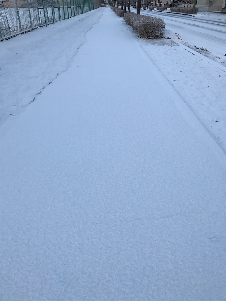 f:id:bellbelona39:20170317075300j:image