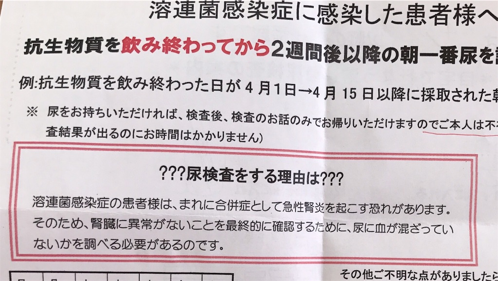 溶連菌感染 我が家の場合 のその後 完結編 すきなものだけの簡素な暮らし