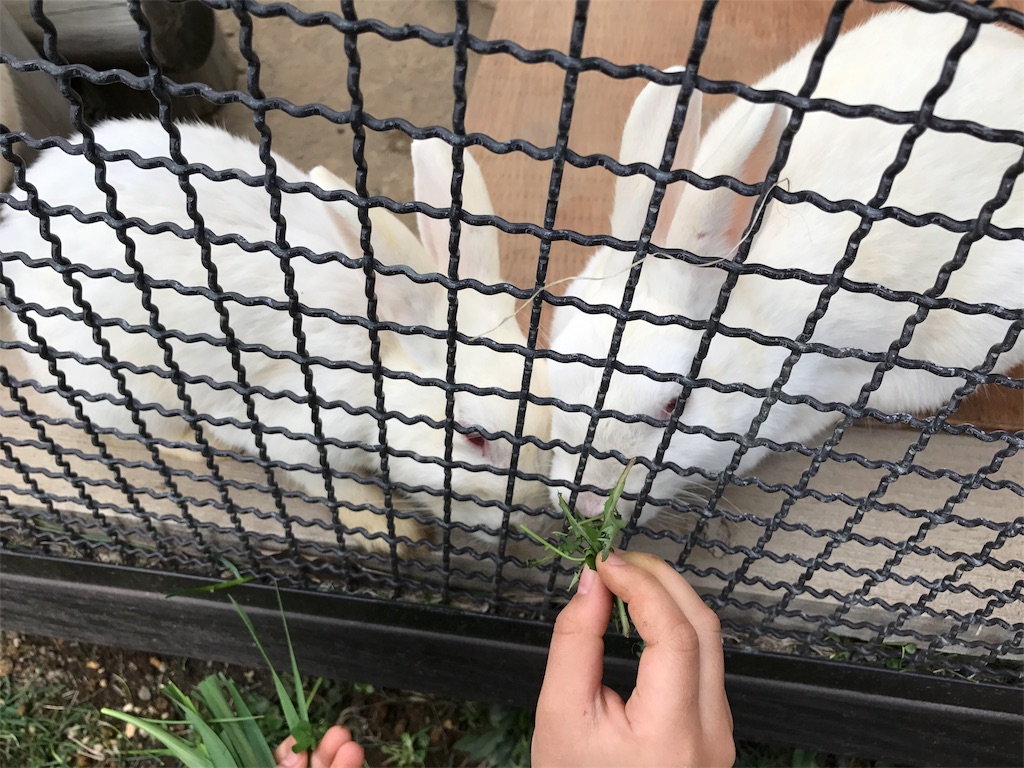 f:id:bellbelona39:20170430061420j:image