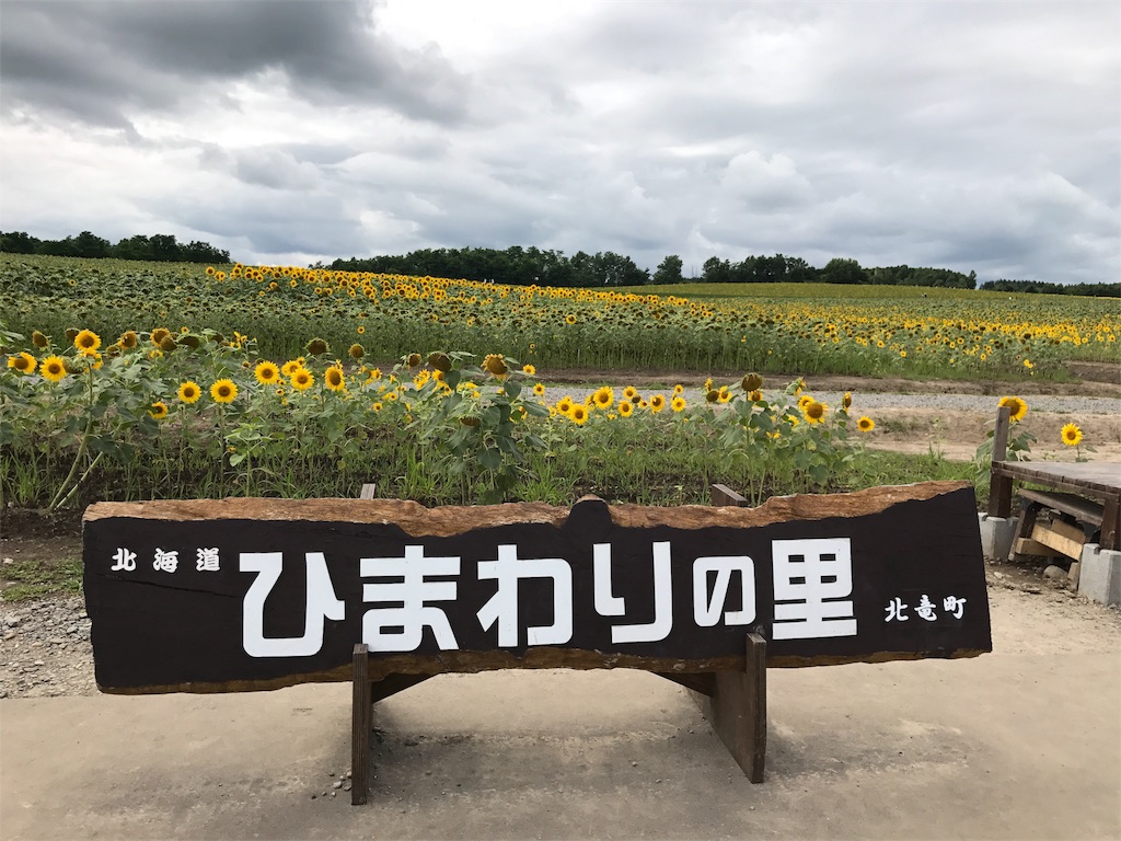 f:id:bellbelona39:20170818072307j:image