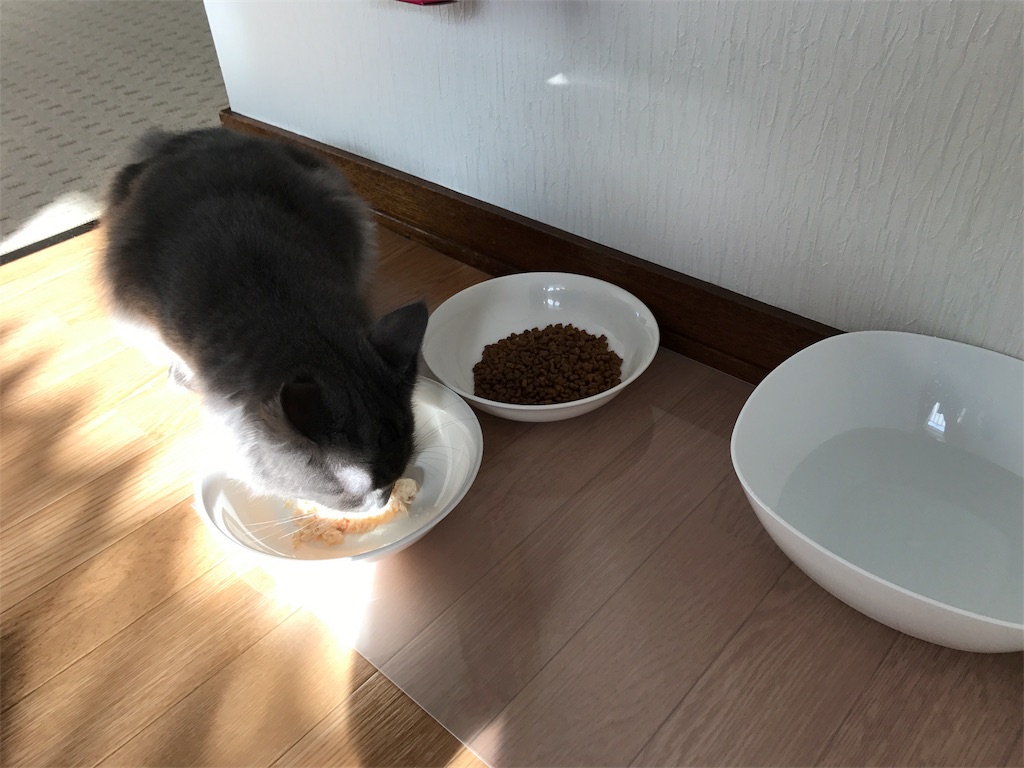 f:id:bellbelona39:20170926082648j:image f:id:bellbelona39:20170926082648j:image