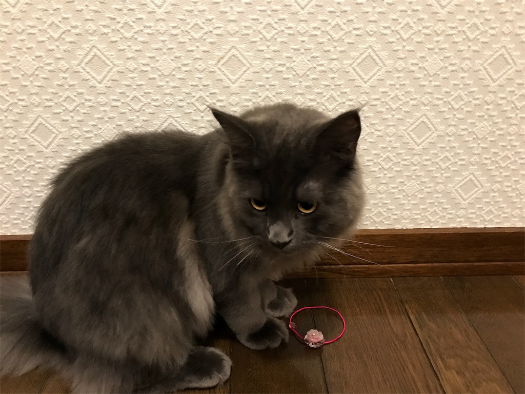 f:id:bellbelona39:20171010164902j:image f:id:bellbelona39:20171010164902j:image