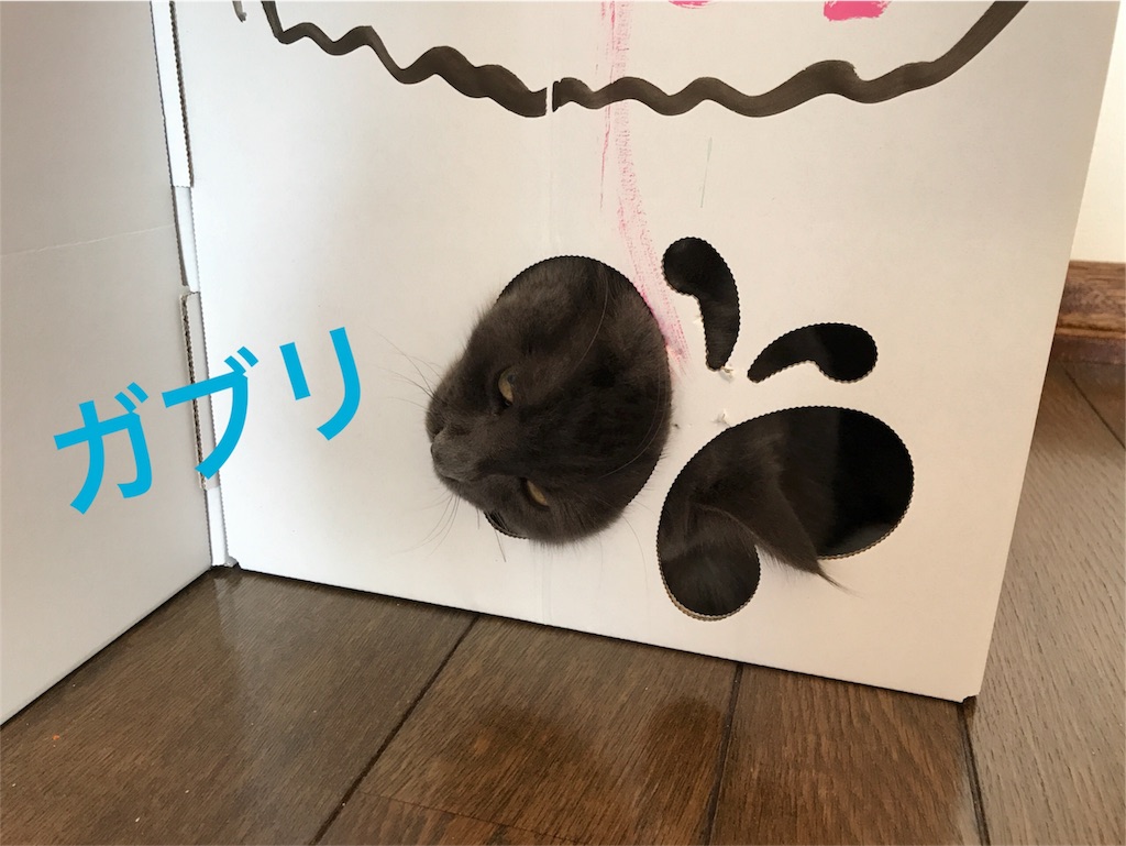 f:id:bellbelona39:20171015143057j:image f:id:bellbelona39:20171015143057j:image