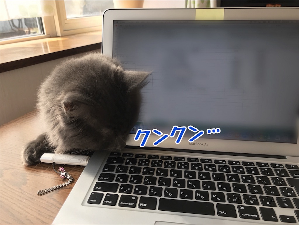 f:id:bellbelona39:20171025204012j:image