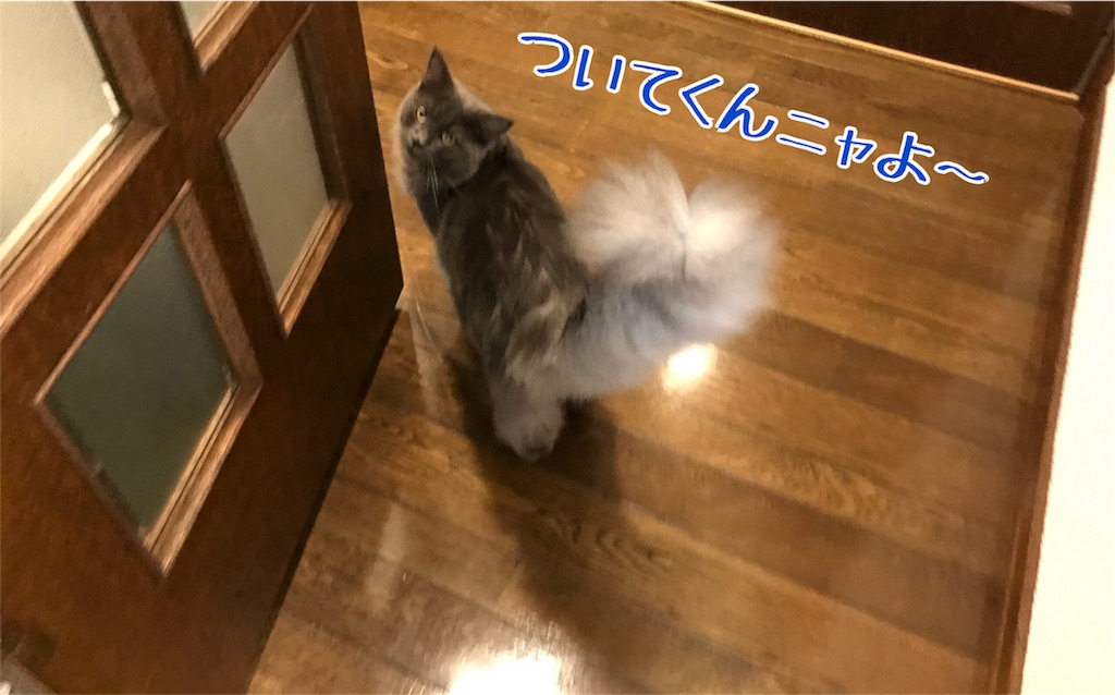 f:id:bellbelona39:20171026203203j:image f:id:bellbelona39:20171026203203j:image