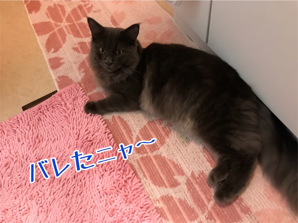 f:id:bellbelona39:20171026203229j:image f:id:bellbelona39:20171026203229j:image