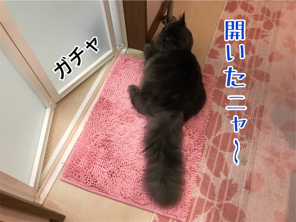 f:id:bellbelona39:20171026203247j:image f:id:bellbelona39:20171026203247j:image