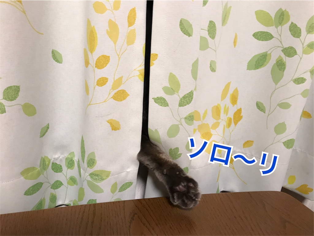 f:id:bellbelona39:20171027213849j:image