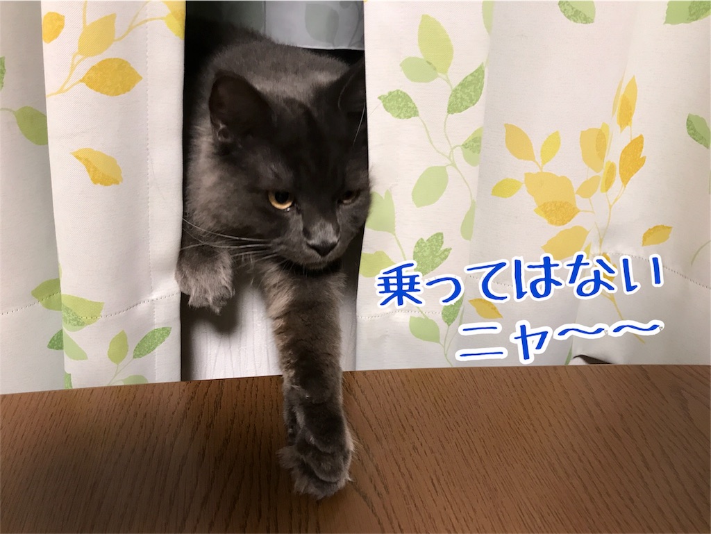 f:id:bellbelona39:20171027213903j:image