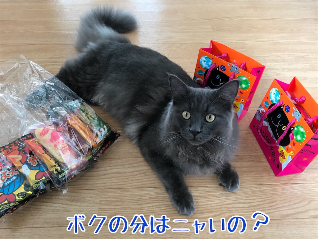 f:id:bellbelona39:20171031213530j:image