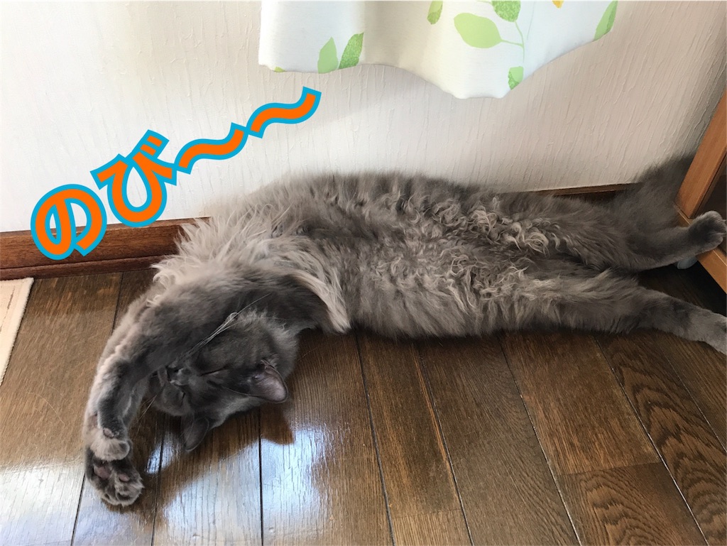 f:id:bellbelona39:20171107204258j:image f:id:bellbelona39:20171107204258j:image