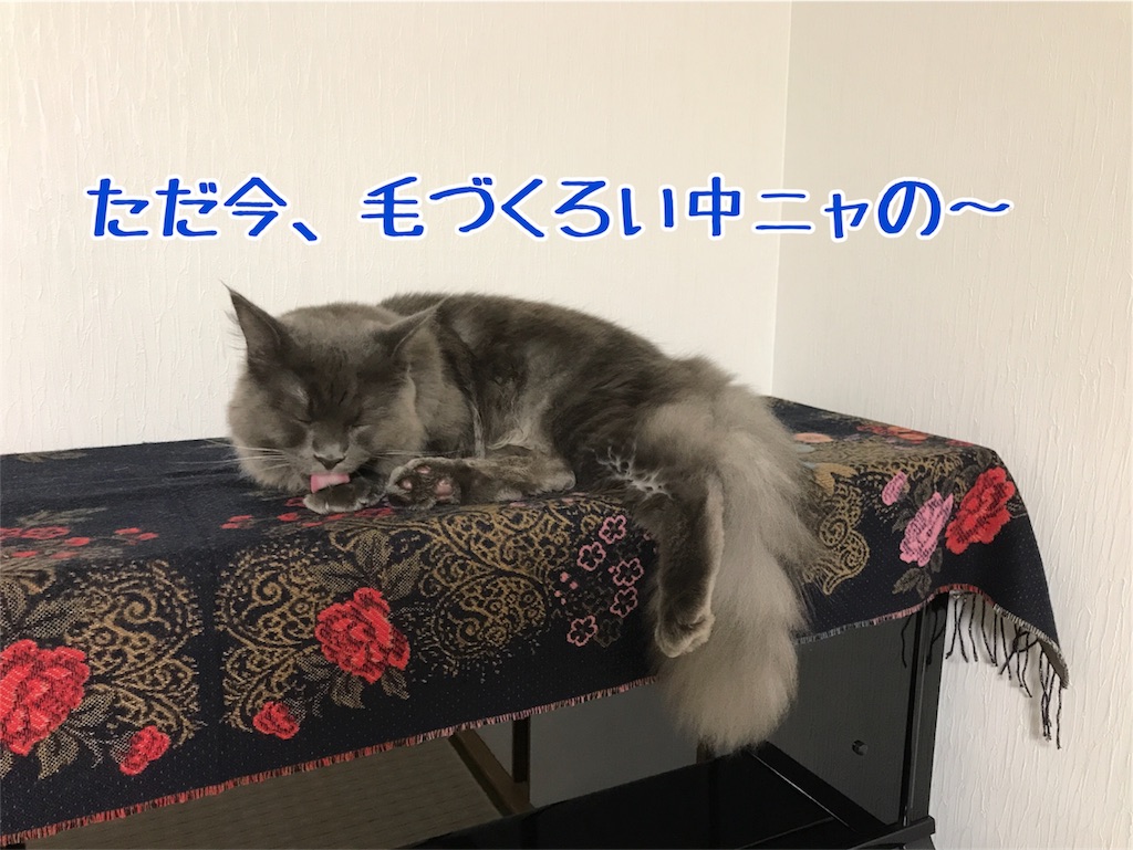 f:id:bellbelona39:20171109221536j:image f:id:bellbelona39:20171109221536j:image