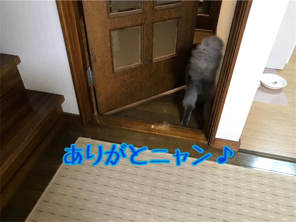 f:id:bellbelona39:20171111204102j:image f:id:bellbelona39:20171111204102j:image