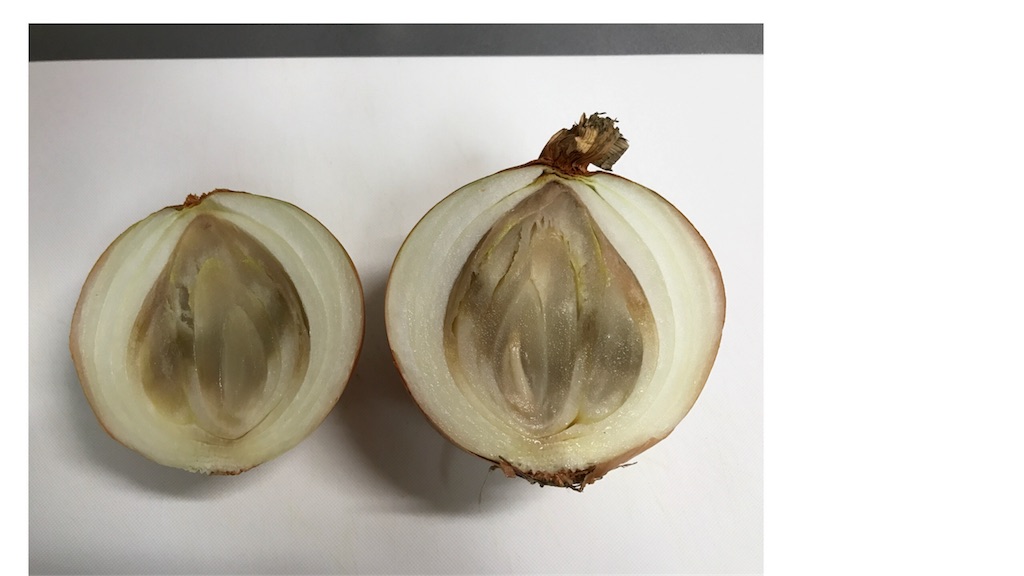 f:id:bellbelona39:20171126001109j:image