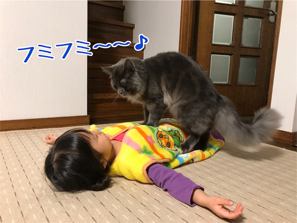 f:id:bellbelona39:20171203234110j:image f:id:bellbelona39:20171203234110j:image