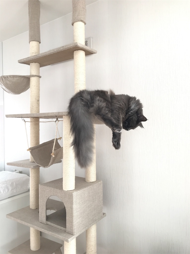 f:id:bellbelona39:20171216194919j:image