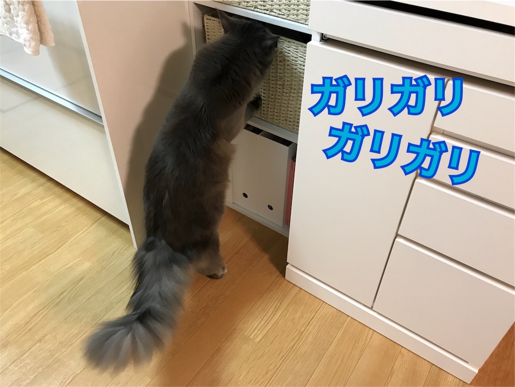 f:id:bellbelona39:20171220201914j:image