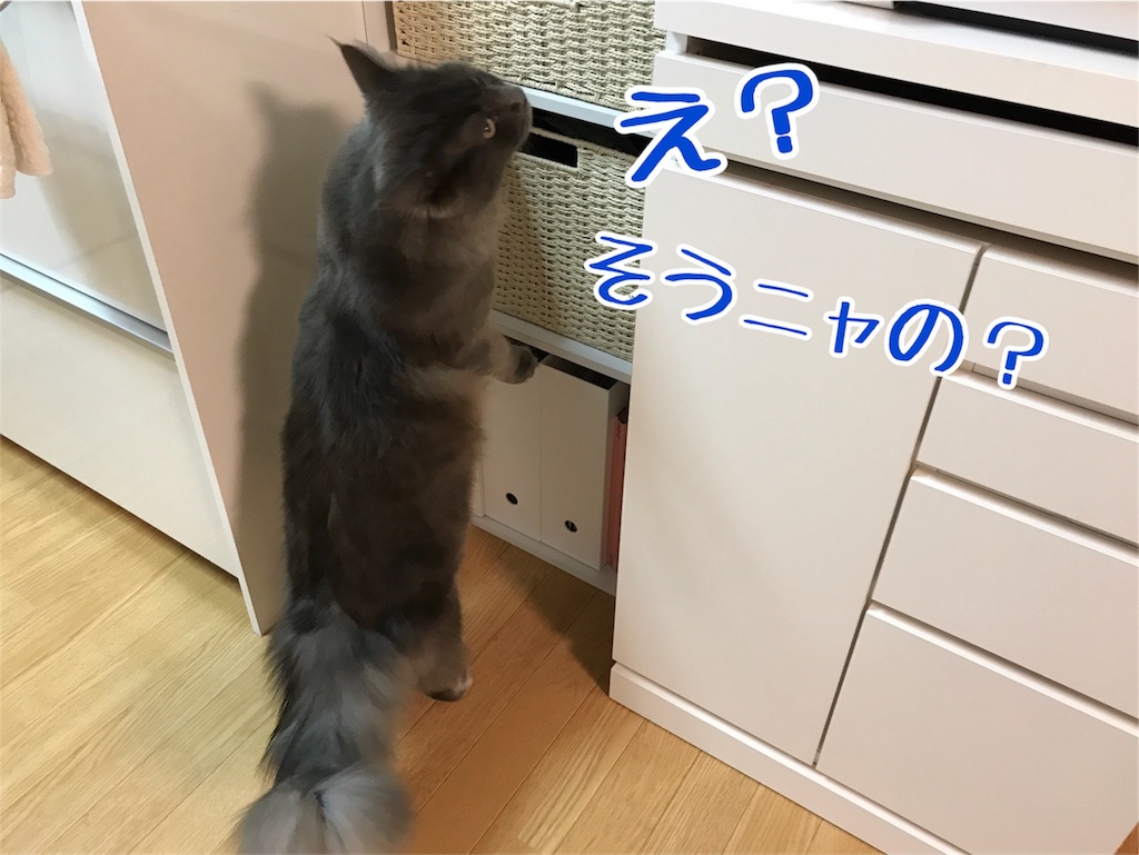 f:id:bellbelona39:20171220202004j:image