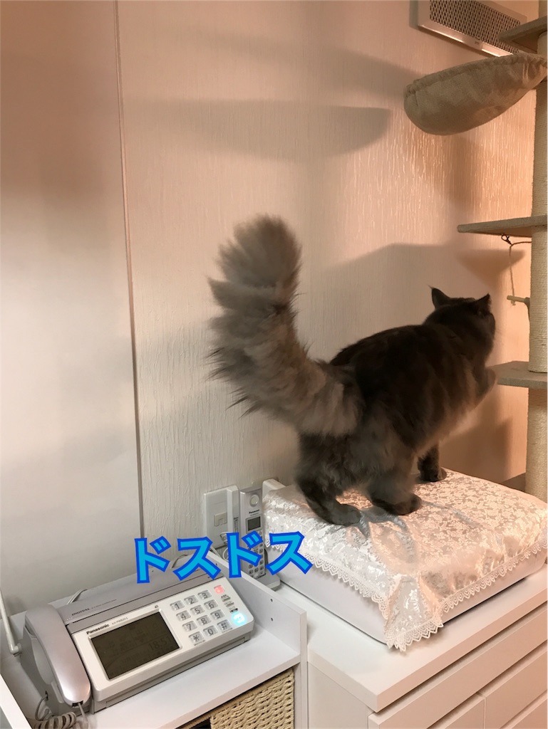 f:id:bellbelona39:20171220202227j:image