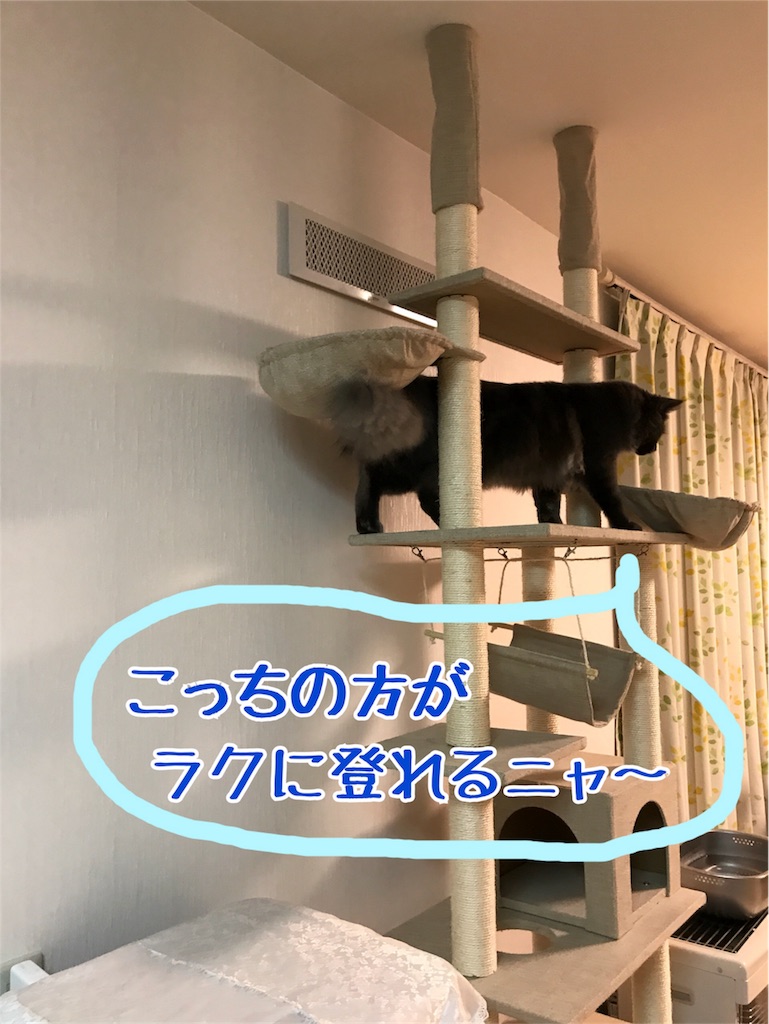 f:id:bellbelona39:20171220202508j:image
