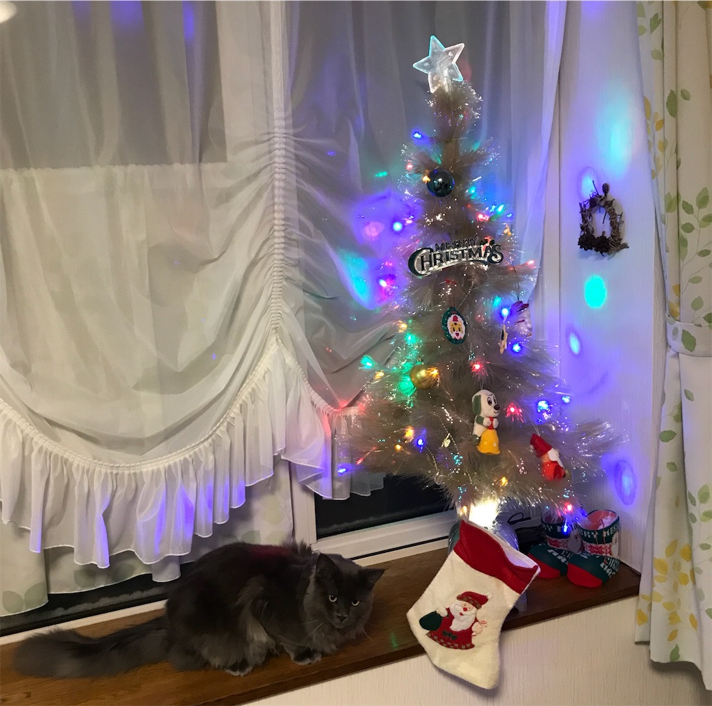 f:id:bellbelona39:20171220222006j:image