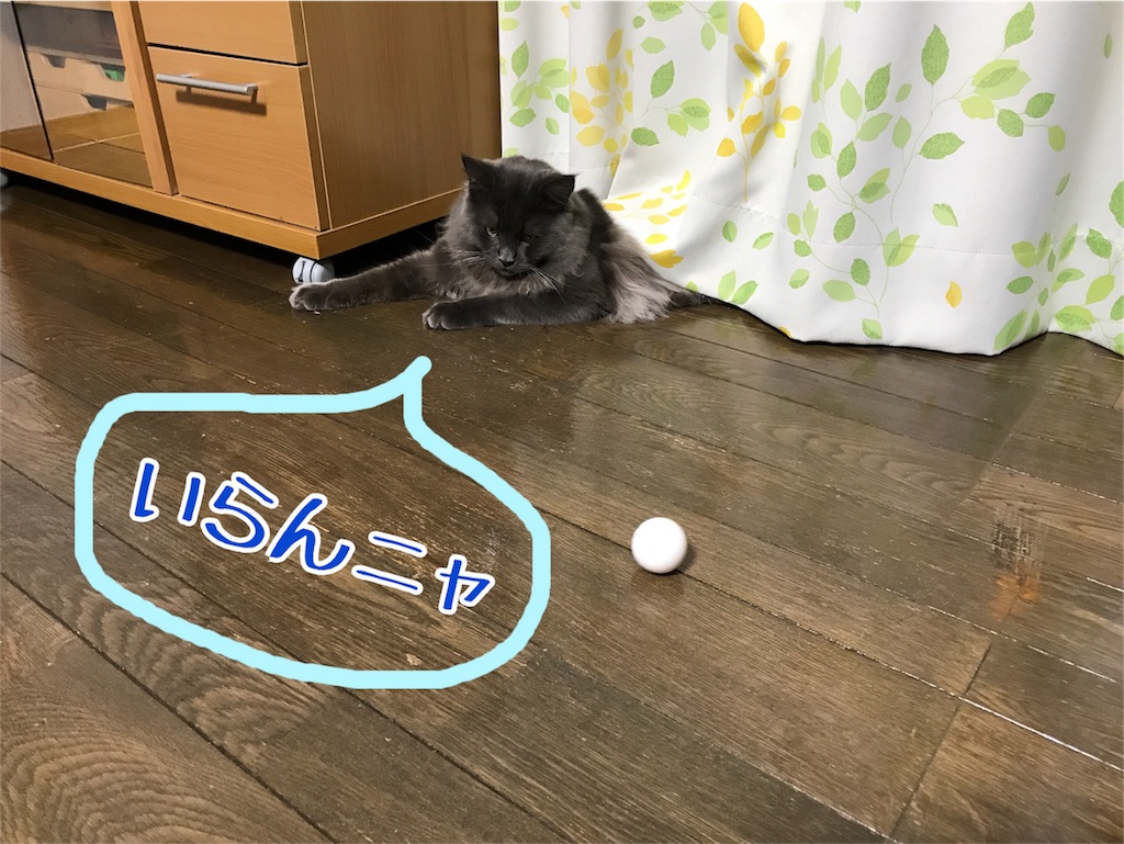 f:id:bellbelona39:20171222170247j:image f:id:bellbelona39:20171222170247j:image