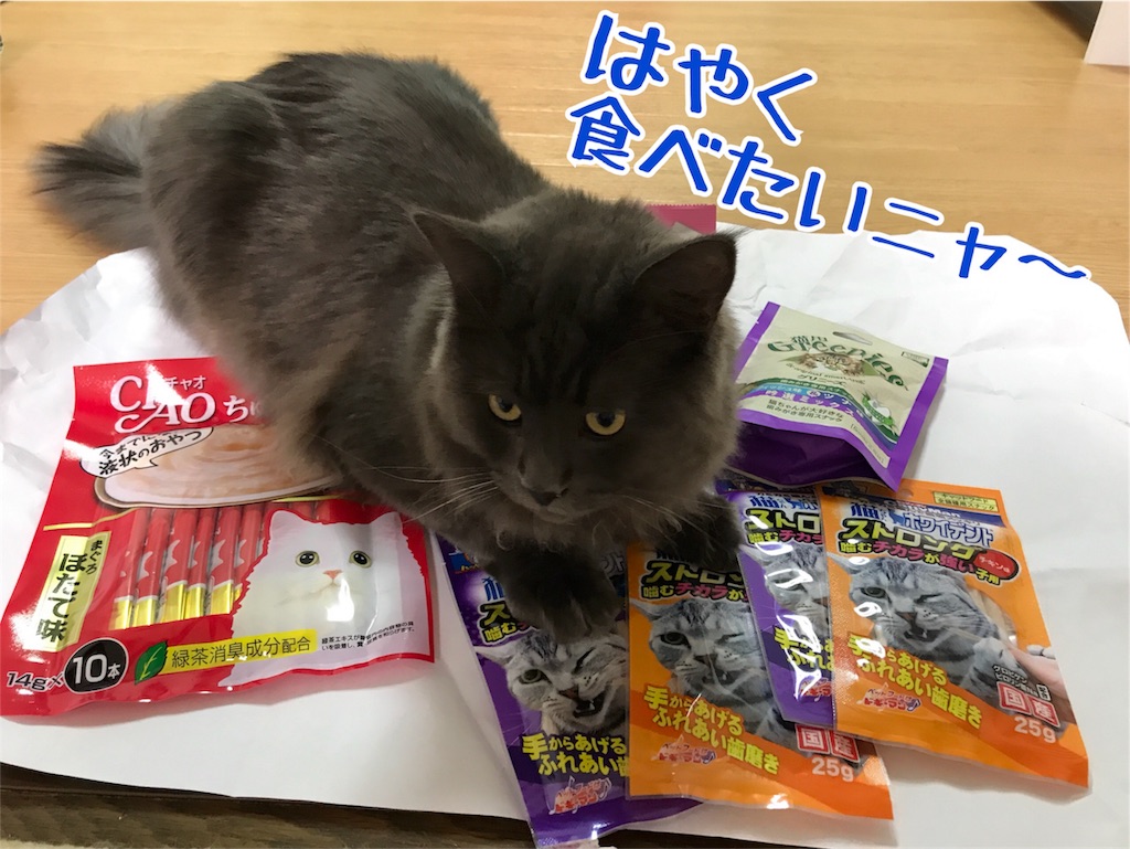 f:id:bellbelona39:20171223211617j:image f:id:bellbelona39:20171223211617j:image