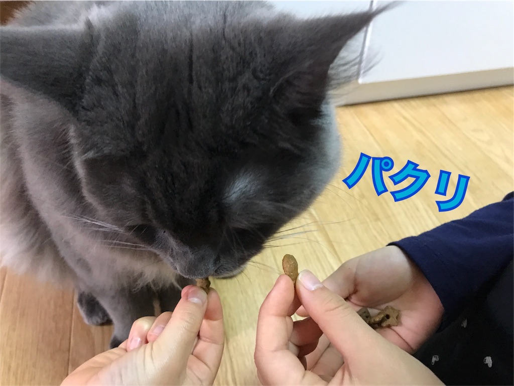f:id:bellbelona39:20171223212320j:image f:id:bellbelona39:20171223212320j:image