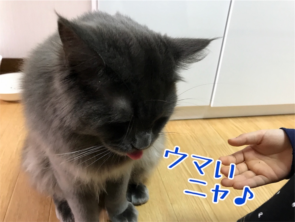f:id:bellbelona39:20171223212329j:image f:id:bellbelona39:20171223212329j:image