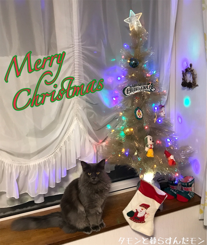 f:id:bellbelona39:20171225080108j:image
