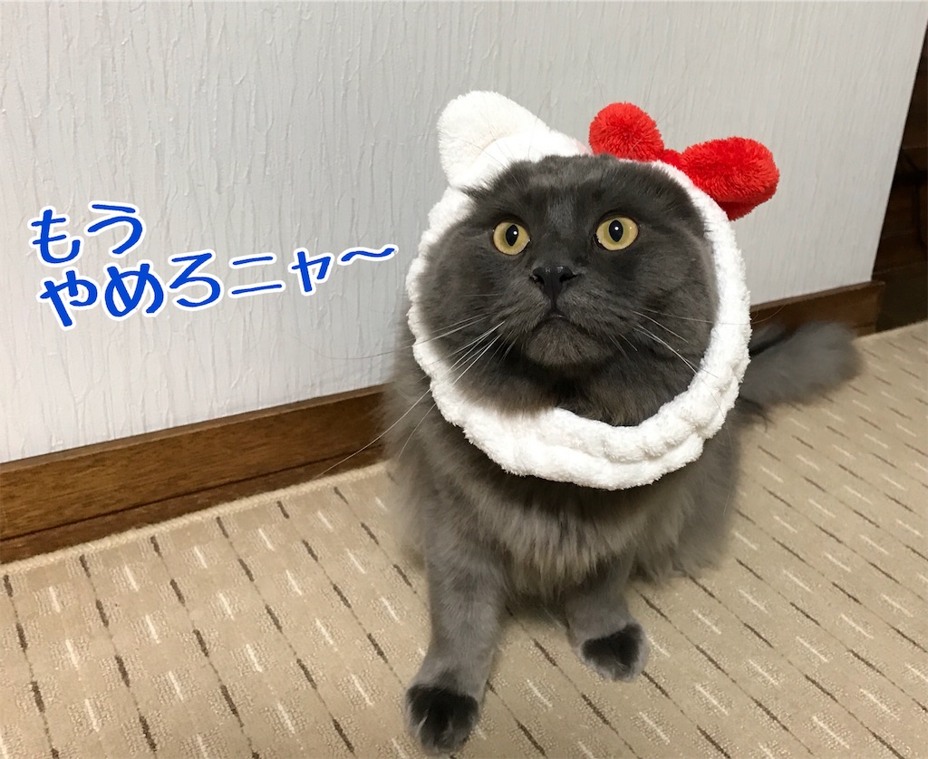 f:id:bellbelona39:20171229203255j:image f:id:bellbelona39:20171229203255j:image