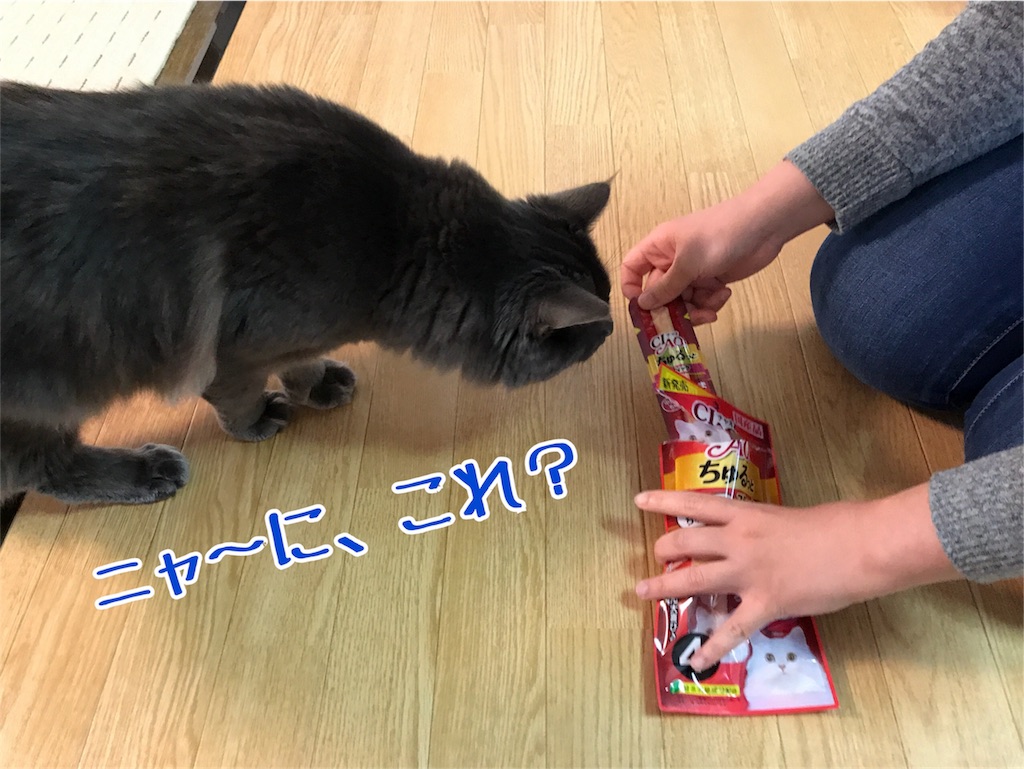 f:id:bellbelona39:20180102190056j:image f:id:bellbelona39:20180102190056j:image