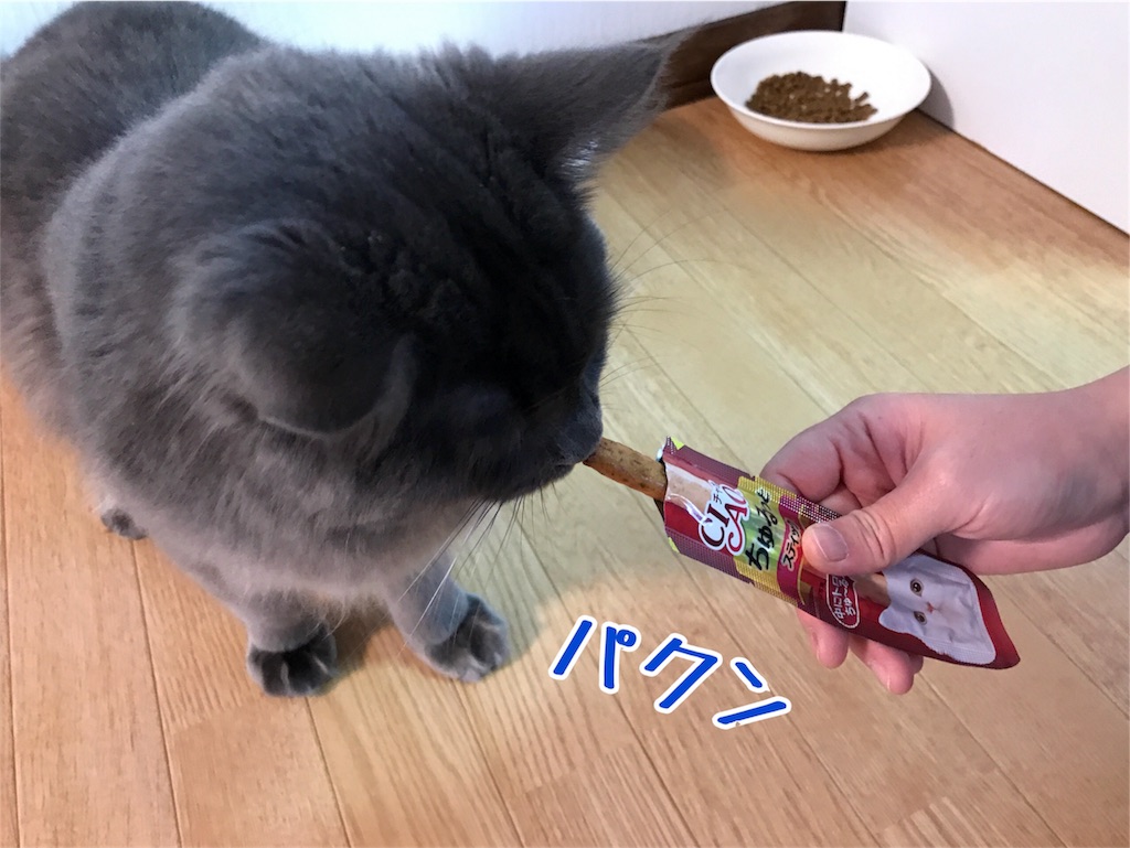 f:id:bellbelona39:20180102190146j:image f:id:bellbelona39:20180102190146j:image