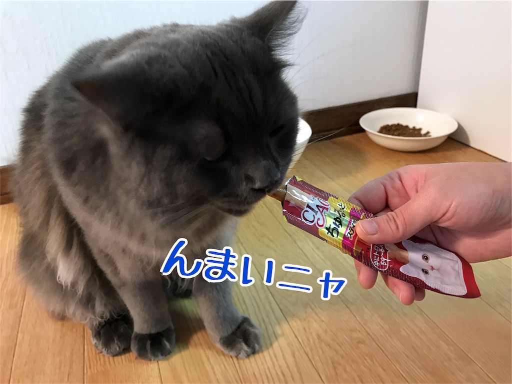 f:id:bellbelona39:20180102190209j:image f:id:bellbelona39:20180102190209j:image