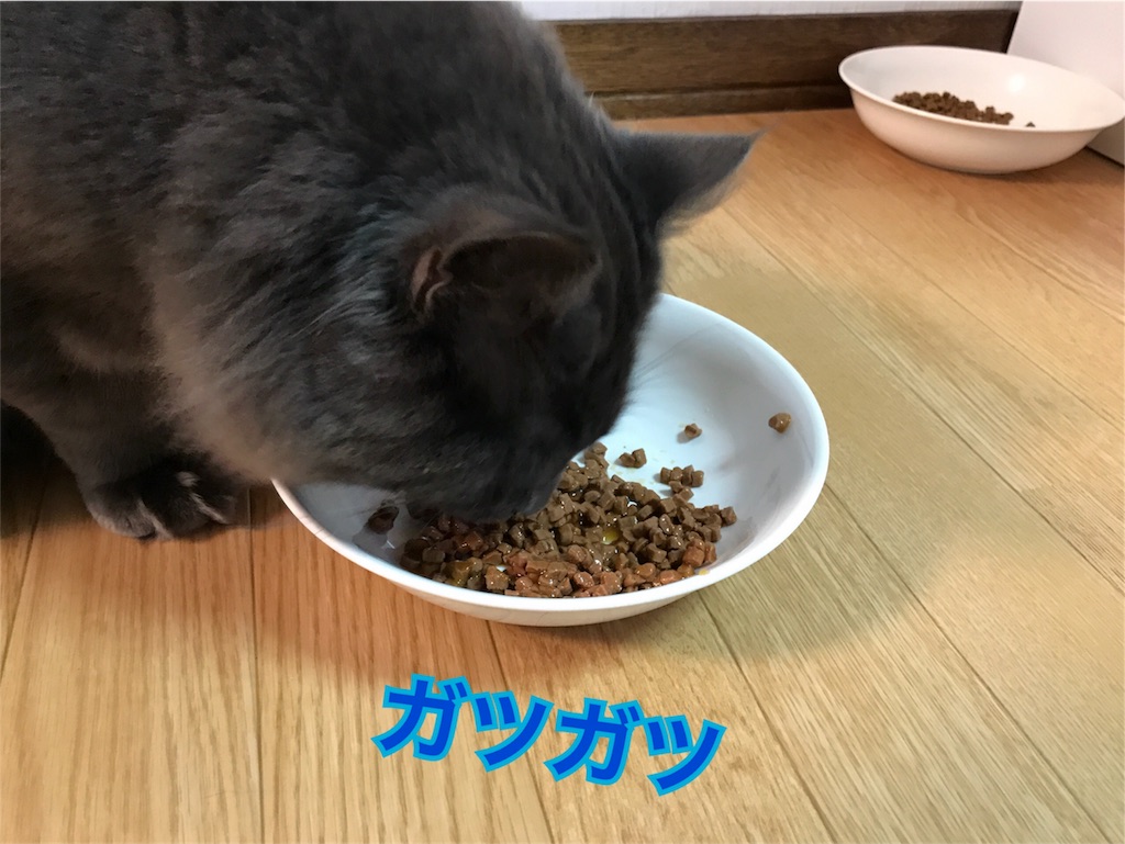 f:id:bellbelona39:20180102190642j:image f:id:bellbelona39:20180102190642j:image