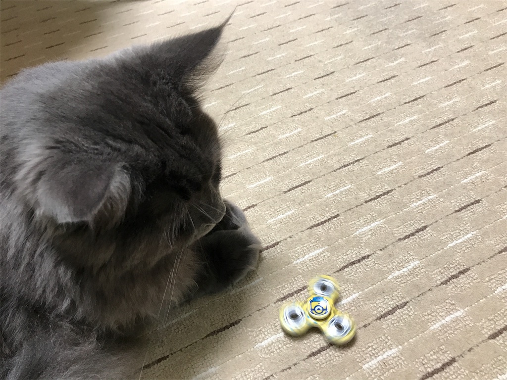 f:id:bellbelona39:20180106172839j:image