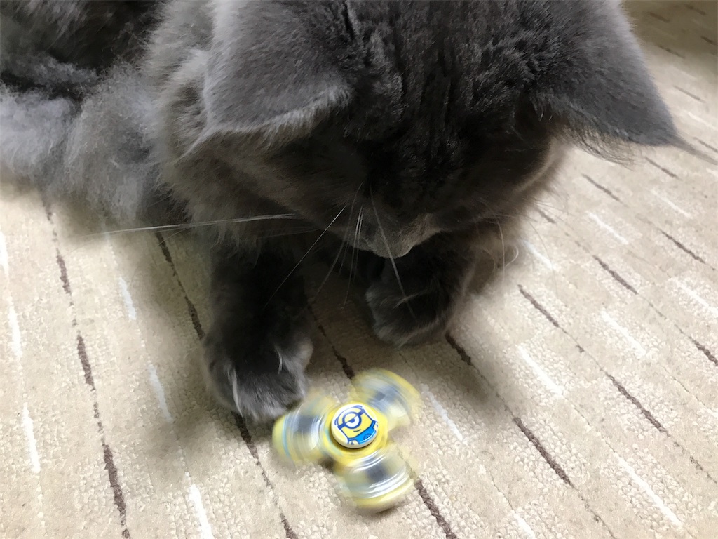 f:id:bellbelona39:20180106172911j:image